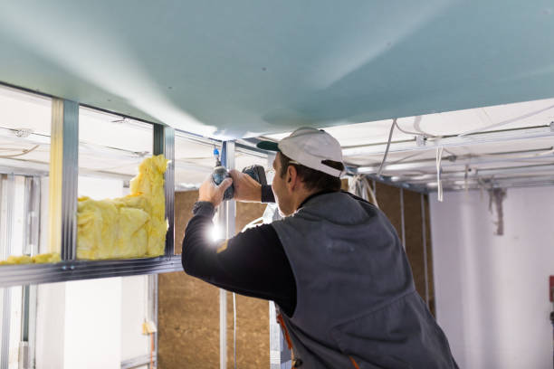 Best Types of Insulation in Whitaker, PA
