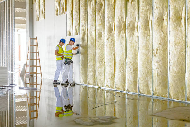 Best Types of Insulation in Whitaker, PA